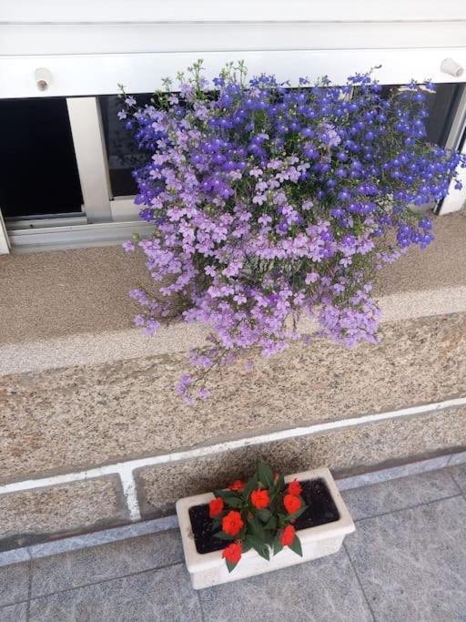 En San Vicente De Apartment O Grove