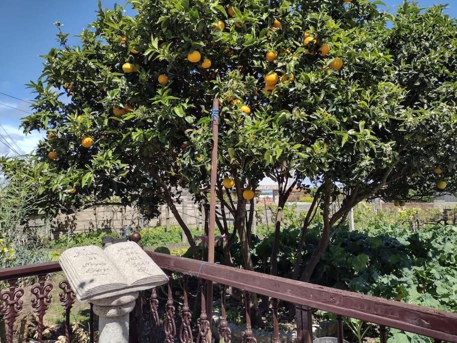Apartment En San Vicente De O Grove